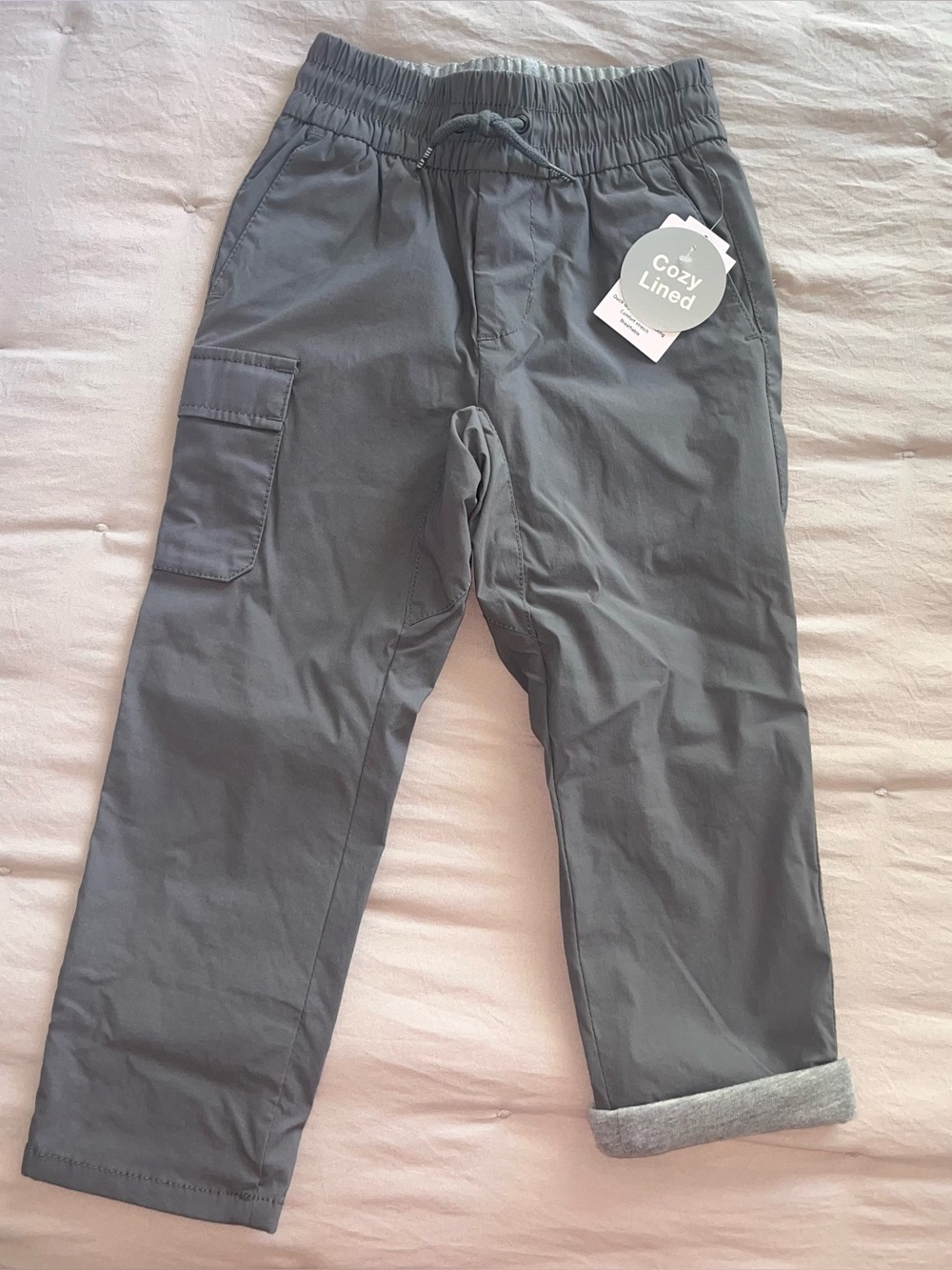 GAP Gray Cozy-Lined Men's Cargo Pants